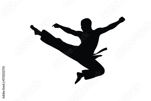 Black silhouette martial artist performing high kick karate