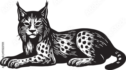 Detailed black and white woodcut illustration of a majestic lynx with tufted ears and spotted fur lying down peacefully