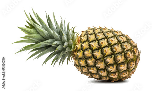Fresh pineapple isolated on black background with green crown