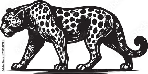 Striking black and white linocut illustration of a powerful jaguar walking with a confident stride