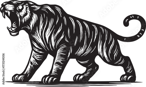 Fierce black and white woodcut style tiger roaring with open mouth and bared teeth in dynamic pose