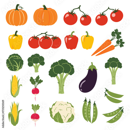A vibrant collection of fresh garden vegetables including pumpkins tomatoes peppers carrots broccoli corn radishes cauliflower and eggplant.
