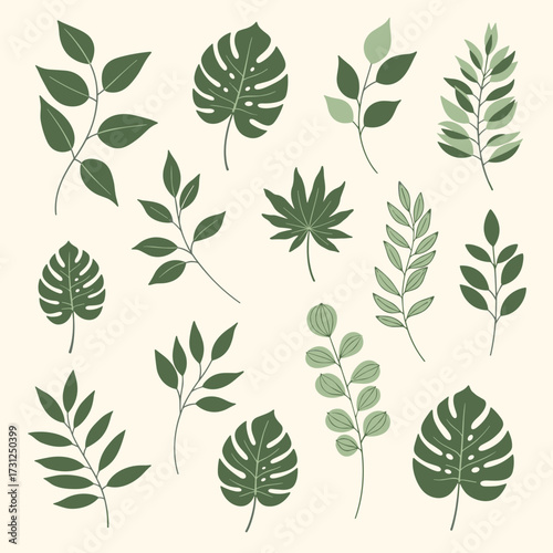 A collection of various green leaves arranged on a pale background.
