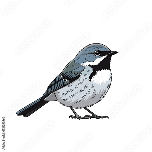 A small gray bird with a black and white face and a black bib sits facing right. The bird has short black legs and feet and a slender black beak.