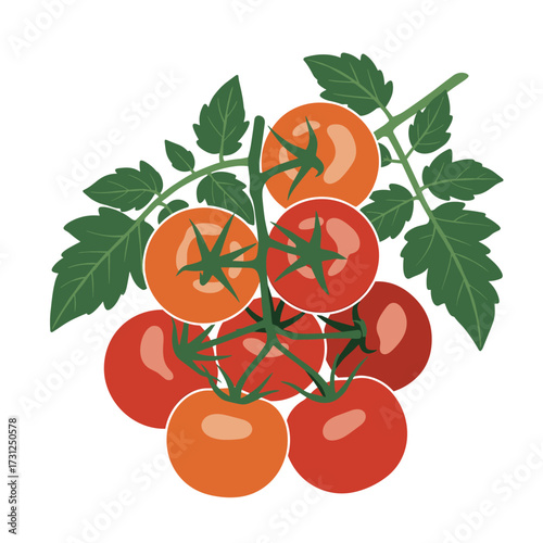 Juicy ripe red tomatoes hanging from a vine with vibrant green leaves.