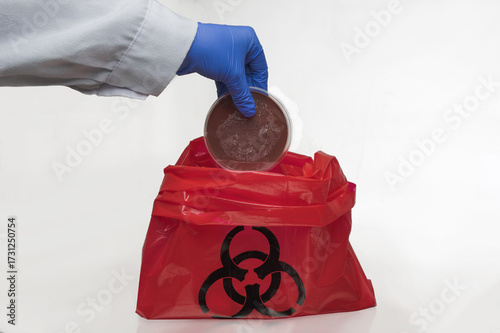 A gloved hand discards a Petri dish into a red biohazard bag