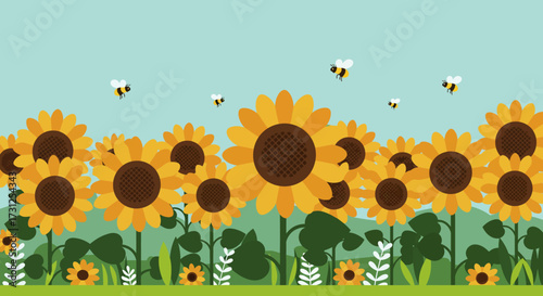 sunflower field vector