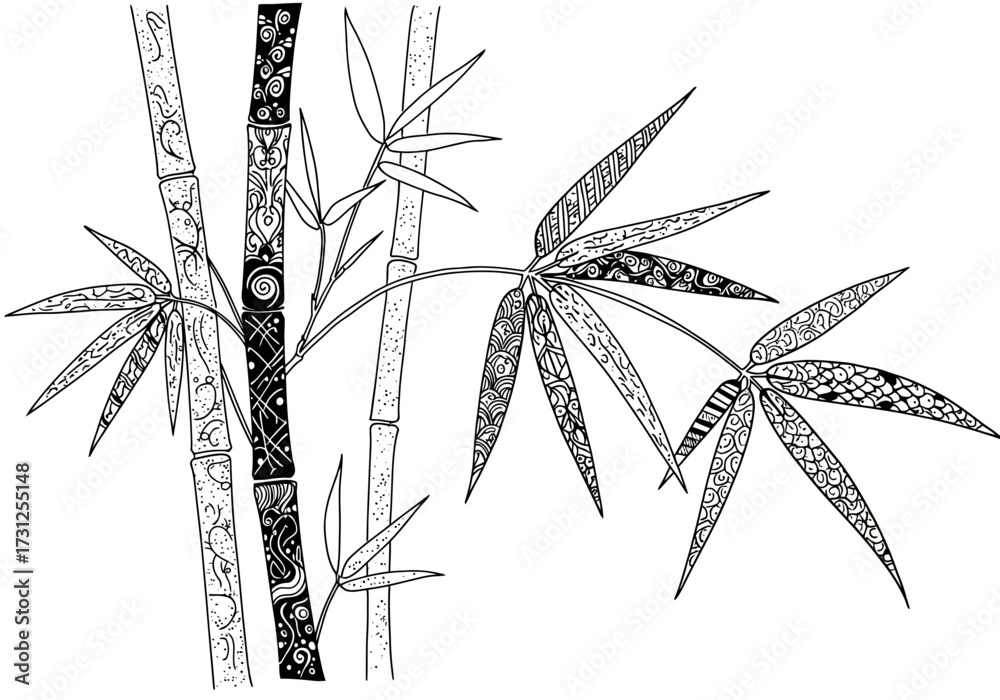 Obraz premium sketch of bamboo, line art, drawing, hand drawn