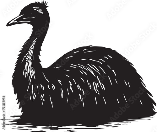 Stylized black and white ink sketch of a large flightless bird with textured feathers sitting in water