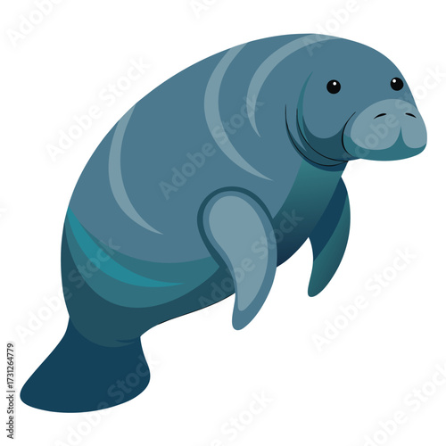 Blue-gray manatee with wrinkled skin, flippers, and rounded tail swimming.