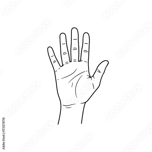 Outlined Human Hand with Fingers Extended Upward