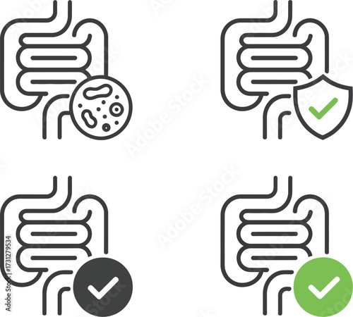 Gut health probiotics digestive system healthy bowel concept