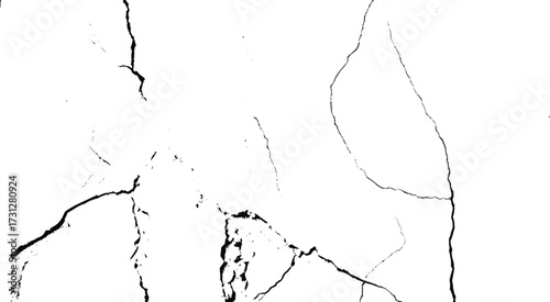 Surface cracks and fissures in ground.  Vector grunge cracked texture style with cracked texture.
