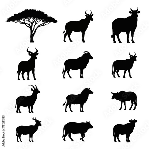 African Wildlife Silhouettes Collection
