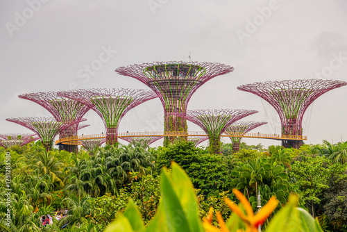 Supertrees at Gardens by the Bay. The tree structures are fitted with environmental technologies