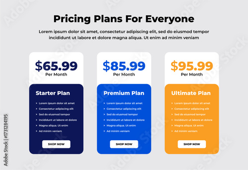 Modern price comparison table for products or services