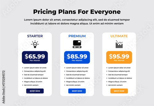 Modern price comparison table for products or services