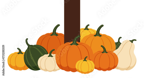 Assorted pumpkins of different colors and sizes grouped together with a dark brown vertical bar behind them