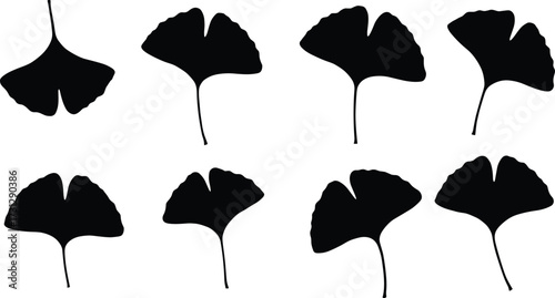 Ginkgo biloba leaf silhouettes, botanical foliage vector, herbal plant illustration, natural eco artwork, organic design element, green medicine leaf decoration