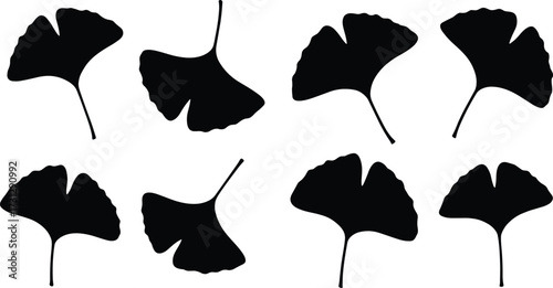 Ginkgo biloba leaf silhouettes, herbal foliage vector, natural plant illustration, organic eco artwork, botanical medicine element, nature design, green decoration