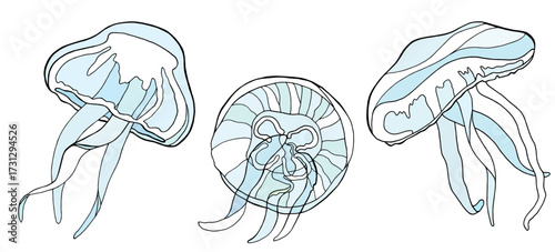 Three stylized illustrations of translucent jellyfish with flowing tentacles, depicted in shades of blue and white against a plain background.