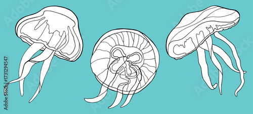 Three stylized, line-art jellyfish float gracefully against a solid turquoise background, showcasing their bell shapes and trailing tentacles in a simple, clean illustration.