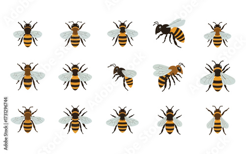 A collection of fifteen cartoon honey bees with black and yellow stripes and transparent wings spread out