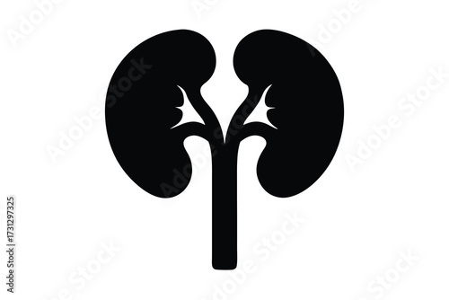 kidney silhouette vector icon illustration design