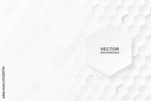 Hexagon white abstract background with soft light and shadow.  Vector.