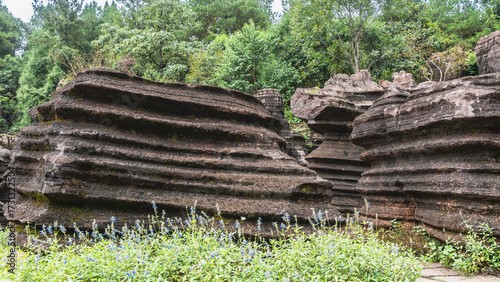 Bizarre karst cliffs. Red-brown rocks with a wavy surface with geological layers. Wildflowers in the meadow. Green vegetation. China. Red Stone Forest National Geopark. Hunan Province