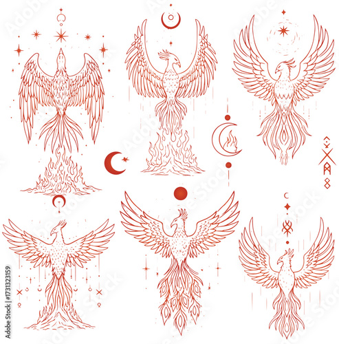 Elegant phoenix bird illustrations, mystical rebirth symbols for spiritual design projects
