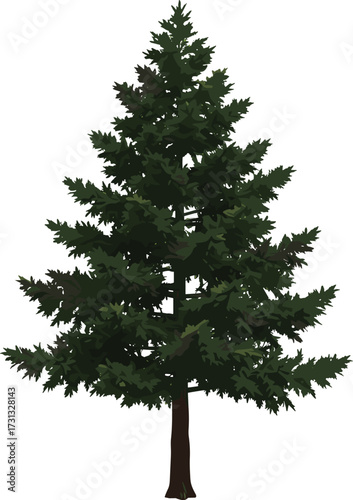 Evergreen pine tree illustration, natural green conifer vector, forest plant design, Christmas tree artwork, outdoor foliage element, botanical landscape clipart