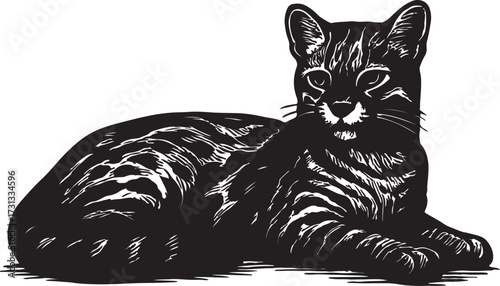 Detailed black and white ink sketch illustration of a tabby cat lying down looking forward
