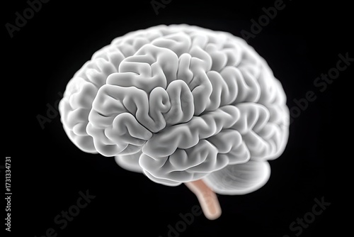 Macro Close Up of Human Brain Scan in Black Background
