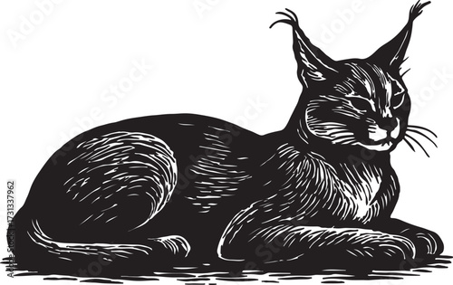 Detailed black and white woodcut illustration of a caracal cat resting with distinctive ear tufts and intense gaze