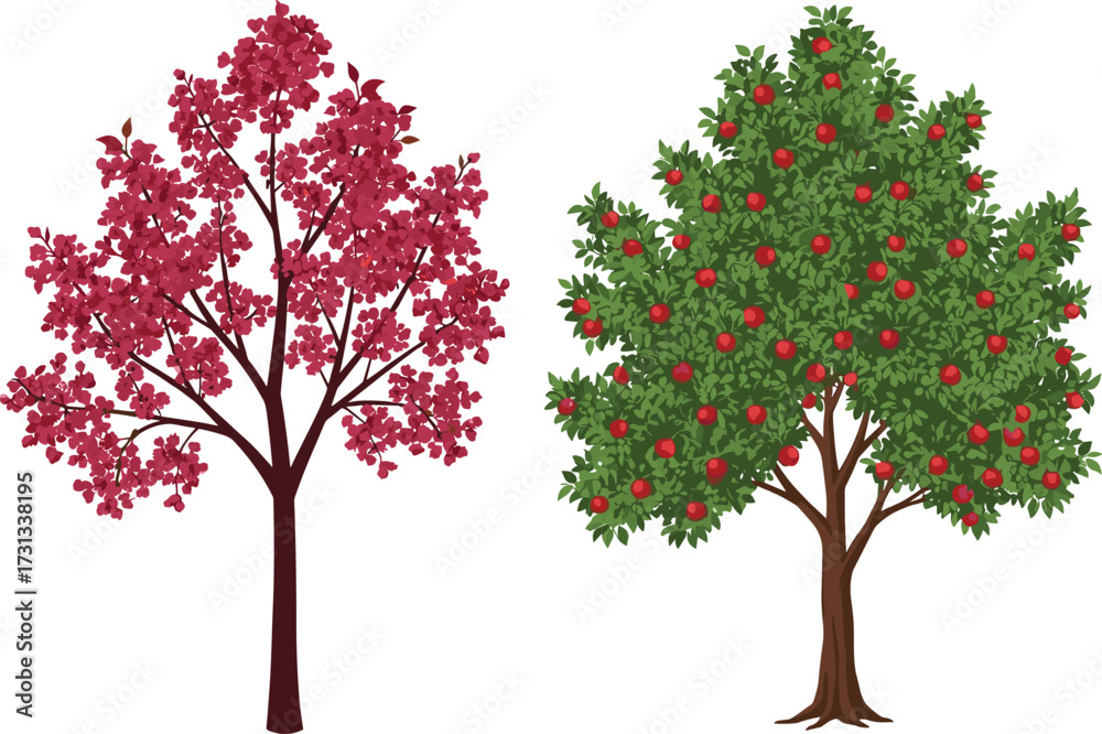 Naklejka premium Red blooming flower tree illustration, apple fruit tree vector, seasonal garden artwork, orchard plant design, natural foliage element, landscape clipart