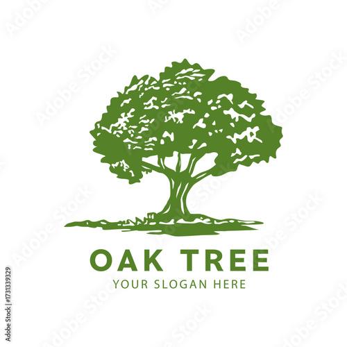 Vibrant oak tree logo design, root, water and soil vector