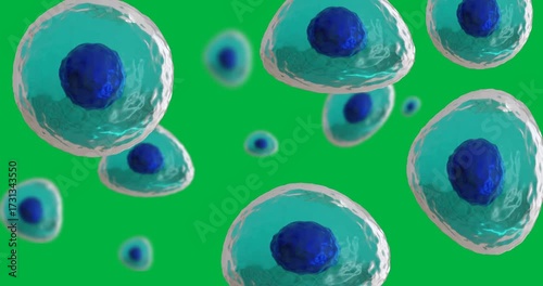 Animation of macro close up of blue cells on transparent background