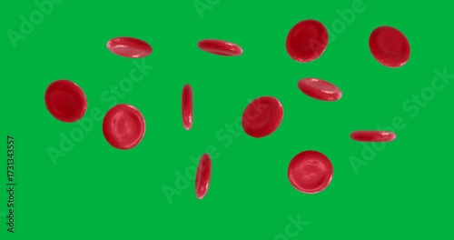 Animation of macro close up of red blood cells on transparent background