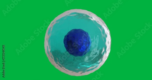 Animation of macro close up of blue cell on transparent background