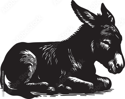 A detailed black and white illustration of a young donkey lying down peacefully in a sketched artistic style