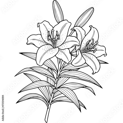Floral Serenity: A beautifully detailed black and white illustration showcases a delicate lily bouquet, evoking feelings of peace and purity.