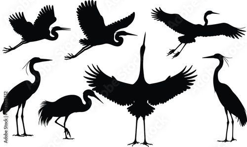 Collection of silhouettes of cranes, heron silhouettes, bird silhouette vector illustration