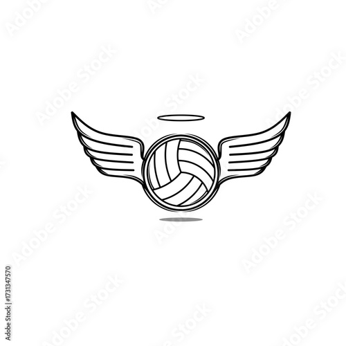beautiful volleyball with eagle  emblem