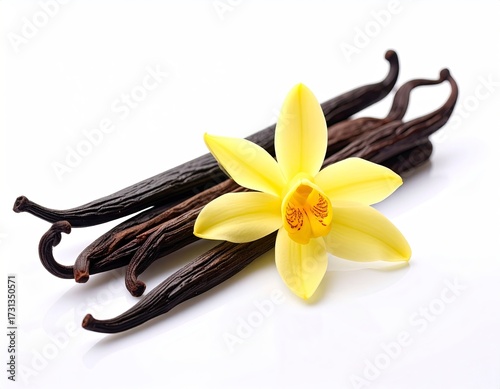 Vanilla Beans and Flower - Aromatic Spice and Floral Beauty.