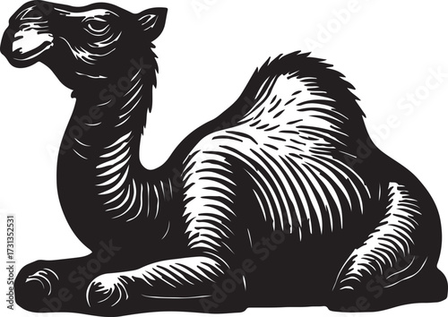 Stylized black and white woodcut illustration of a camel sitting down in a profile view