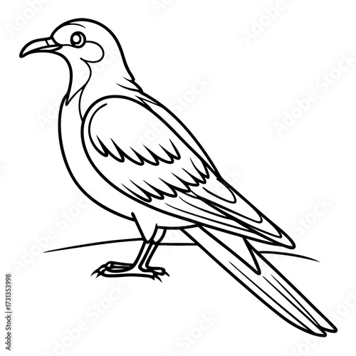A simple black and white line drawing of a stylized bird standing on a thin line with its tail feathers fanned out and wings slightly folded
