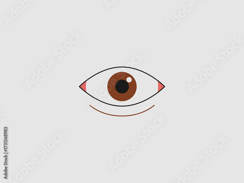 human eye with a brown iris and pupil