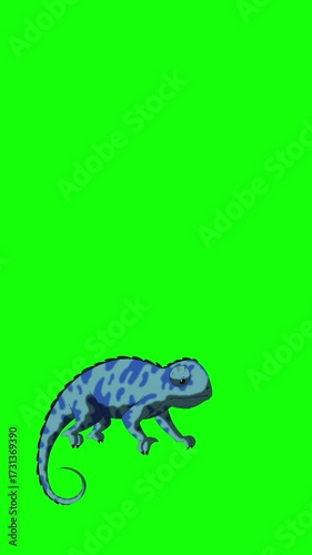 Blue chameleon on Green Screen Background. 2D animation Vertical video