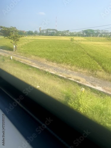 Looking out the window of a moving train. View of rice fields, rural houses and a clear blue sky.